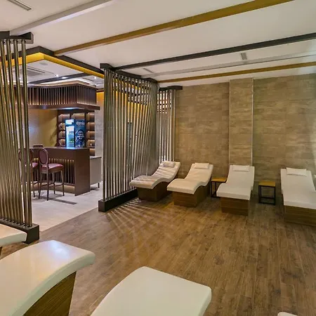 فندق وسبا بي بيزنيس 5*